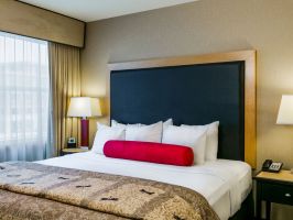 Hotel Cambria Suites Fort Collins image