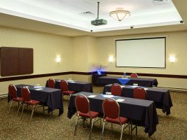 Hotel Holiday Inn And Suites Winnipeg Downtown image