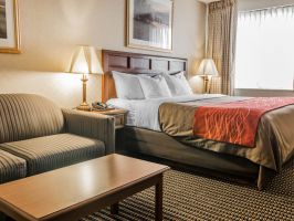 Hotel Comfort Inn Utica image