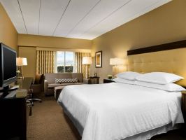 Hotel Sheraton Needham Hotel image