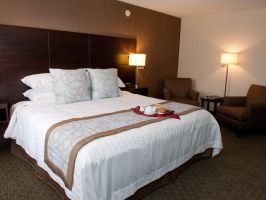 Hotel Rodd Royalty image