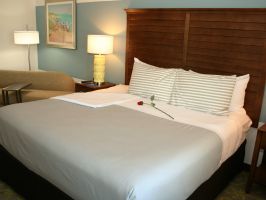Hotel TRYP By Wyndham Sebastian St. Augustine image