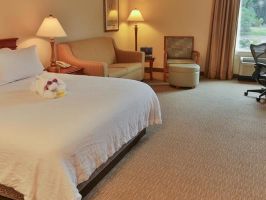 Hotel Hilton Garden Inn Savannah Airport image