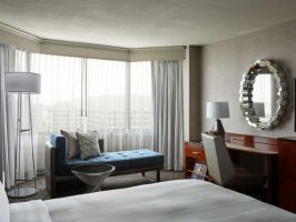 Hotel Crystal Gateway Marriott image