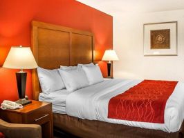 Hotel Comfort Inn Lima image