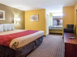 Hotel EconoLodge Inn & Suites image
