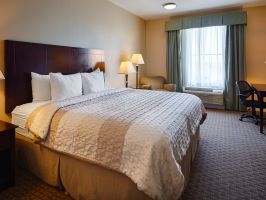 Hotel Best Western Sugar Land Inn image