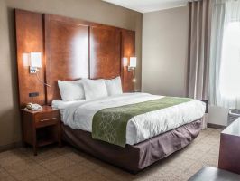 Hotel Comfort Suites Dover image