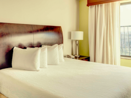 Hotel Hilton Garden Inn Dallas Lewisville image