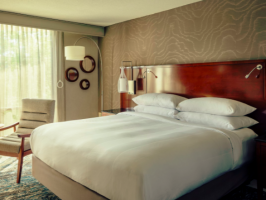 Hotel Boston Marriott Newton image