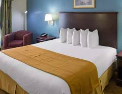 Hotel OYO Town House Houston image
