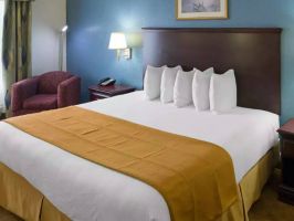 Hotel OYO Town House image