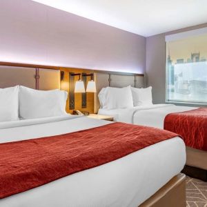 Twin bedroom with natural light at Comfort Inn JFK Airport.