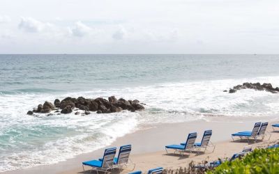 Beach loungers on the beach at Embassy Suites By Hilton Deerfield Beach Resort & Spa.