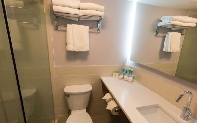 Guest bathroom with shower at Holiday Inn Express Edmonton Downtown.