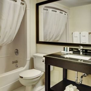 Guest bathroom with shower and tub at Comfort Inn Sherbrooke.