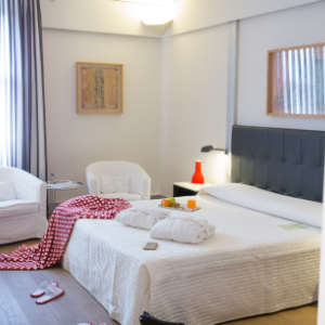 Art Hotel Museo