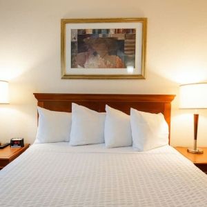 Queen bed at Travelodge Ottawa East.