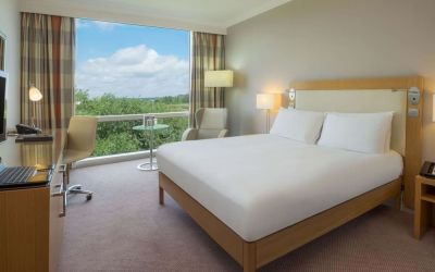 Bright king bedroom with view at the Hilton Reading.