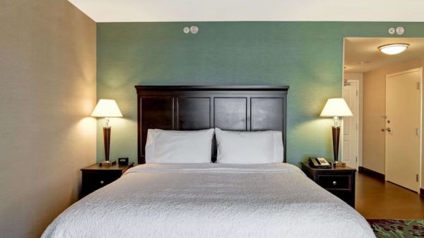 Hotel Hampton Inn By Hilton Toronto Airport Corporate Centre image