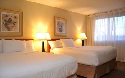 Bright and spacious day use twin room at Amenida Residences.