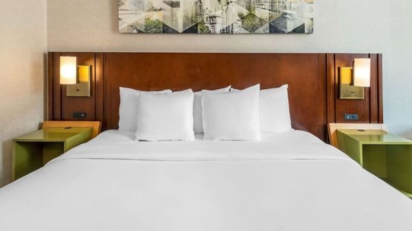 Hotel Comfort Inn Ottawa West image