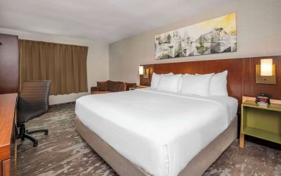 Standard day use room with work desk at Comfort Inn Dryden.