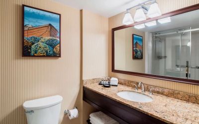 Guest bathroom with shower and free toiletries at Sheraton Hotel Newfoundland.