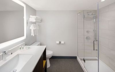 Guest bathroom with shower at Holiday Inn Orlando SW - Celebration Area.