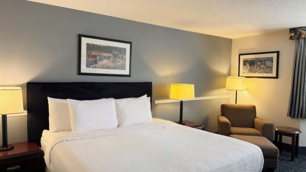 Hotel Divya Sutra Plaza & Conference Centre image