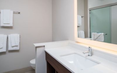 Guest bathroom with shower at Holiday Inn Express & Suites Ruston.