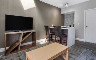 TV room at Somerset Lofts.