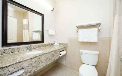 Guest bathroom with shower at Best Western Sugar Land Inn.