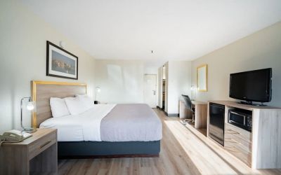Bright and spacious day use room with TV and work desk at Halifax Airport Hotel.