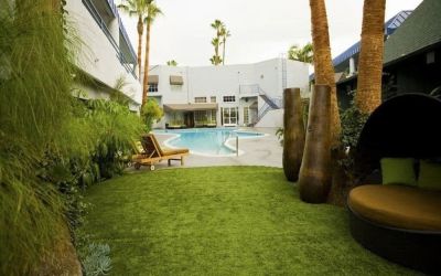Garden beside the pool at Hotel Current.