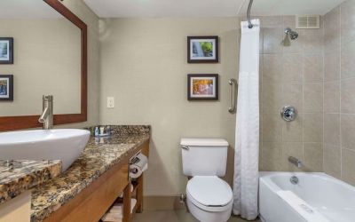 Guest bathroom with shower and tub at Comfort Inn & Suites Glen Mills – Concordville.