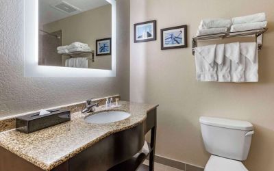 Guest bathroom with shower at Comfort Suites Phoenix Airport.