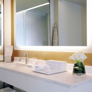 Day with with guest bathroom at The Knickerbocker Hotel.