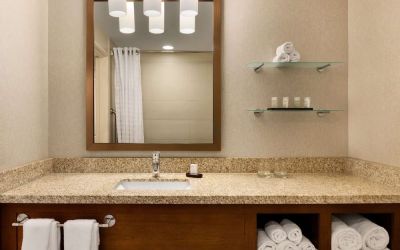 Guest bathroom with shower at Embassy Suites By Hilton Denver Downtown Convention Center.