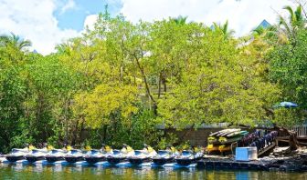 Watersports and kayaking at Parrot Key Hotel & Villas.