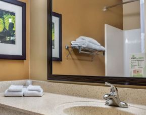 Guest bathroom at Extended Stay America.