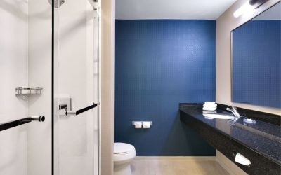 Guest bathroom with shower at Fairfield Inn & Suites By Marriott Albany.