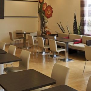 Ibis Monterrey Valle