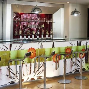 Ibis Monterrey Valle