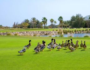 Garden area at Velero Hotel Doha Lusail.