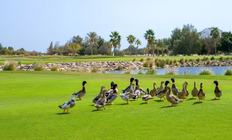 Garden area at Velero Hotel Doha Lusail.
