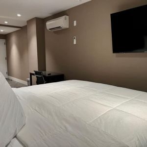 Day use deluxe room with TV screen and work desk at Rose Hotel, Bronx.