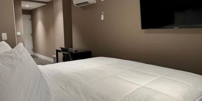 Day use deluxe room with TV screen and work desk at Rose Hotel, Bronx.