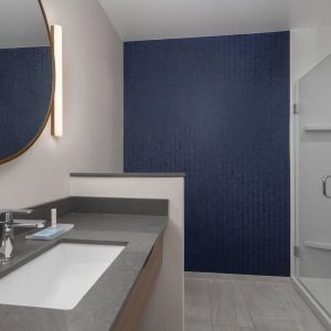 Guest bathroom with shower at Fairfield Inn & Suites By Marriott Kenosha Pleasant Prairie.