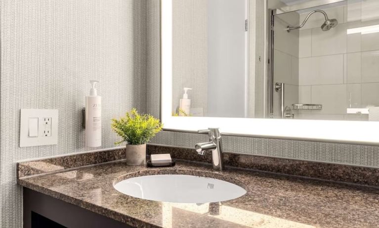 Guest bathroom with shower at Embassy Suites By Hilton Los Angeles International Airport South.